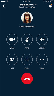 skypeʰ V8.15