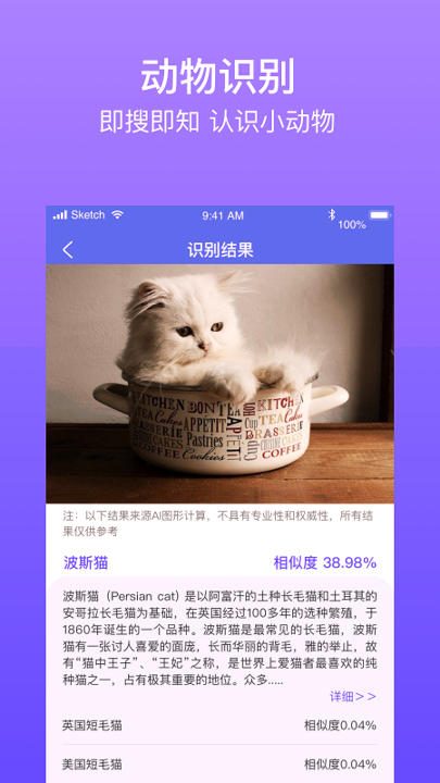 拍拍识图识字安卓版 V1.3.11