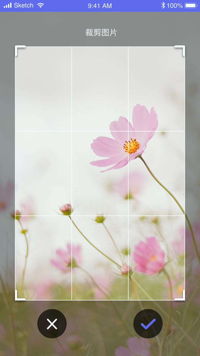 拍拍识图识字安卓版 V1.3.11