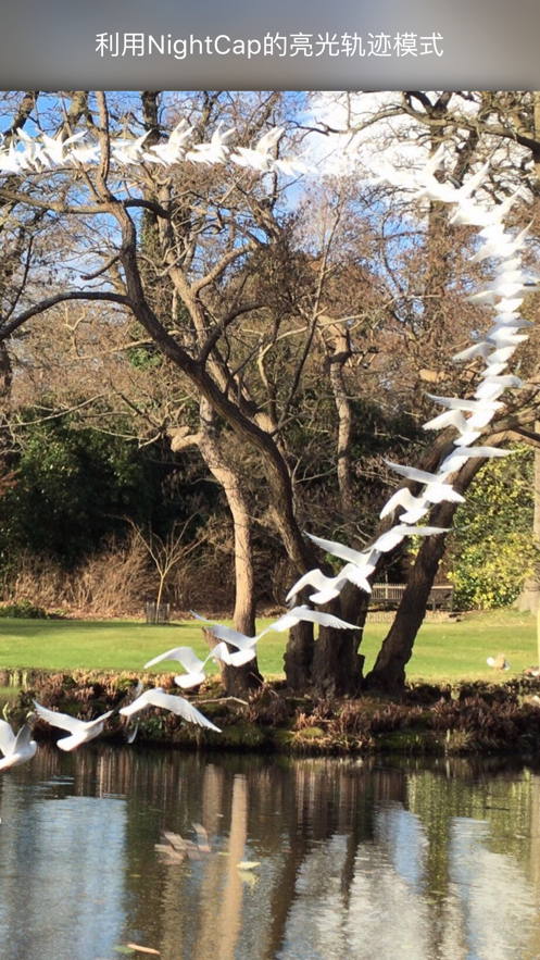 NightCap�����׿�� V9.9