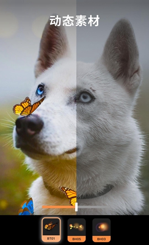 motionleap��׿�� V1.3.6