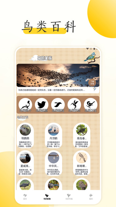 С���ֽ��ȫ��׿�� V1.2