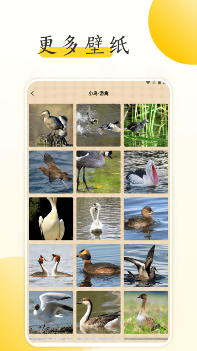 С���ֽ��ȫ��׿�� V1.2