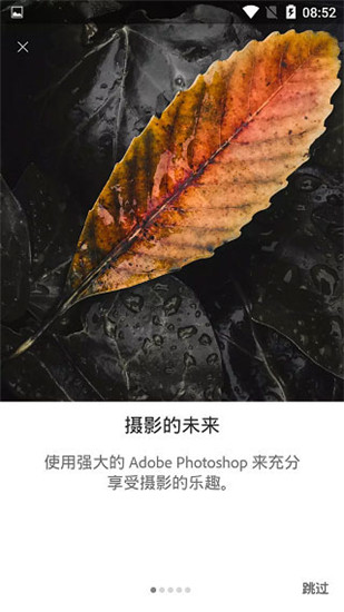 lightroom安卓版 V8.3.1