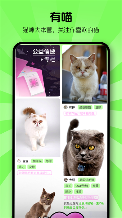 ����������׿�� V1.2.50