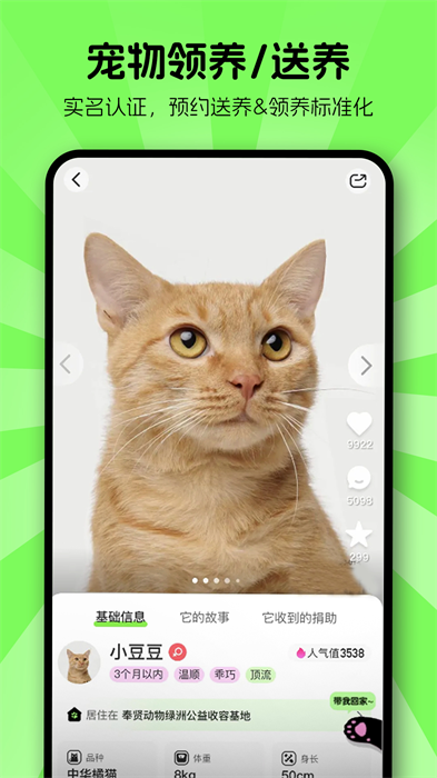 ����������׿�� V1.2.50