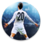2020足球世界杯安卓汉化版 V1.11.1